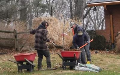Tree Planting Tips for Cold Weather